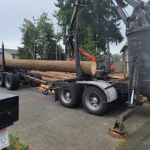 Tree Removal Near Me